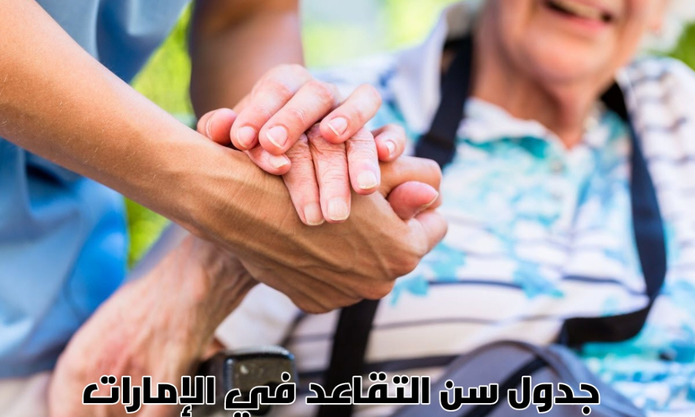 هيئة المعاشات دبي