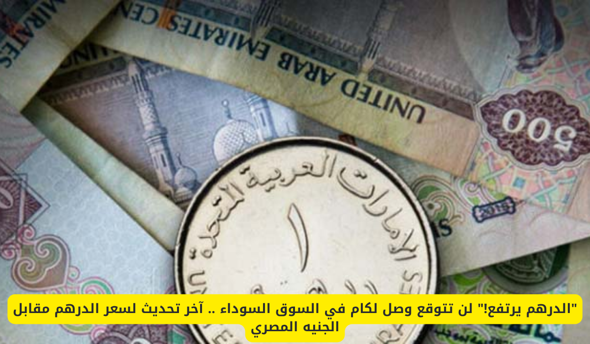 سعر الدهم الإماراتي مقابل الجنيه المصري