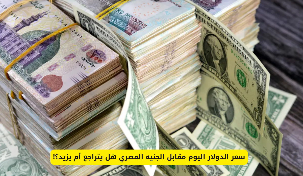 سعر الدولار اليوم مقابل الجنيه المصري