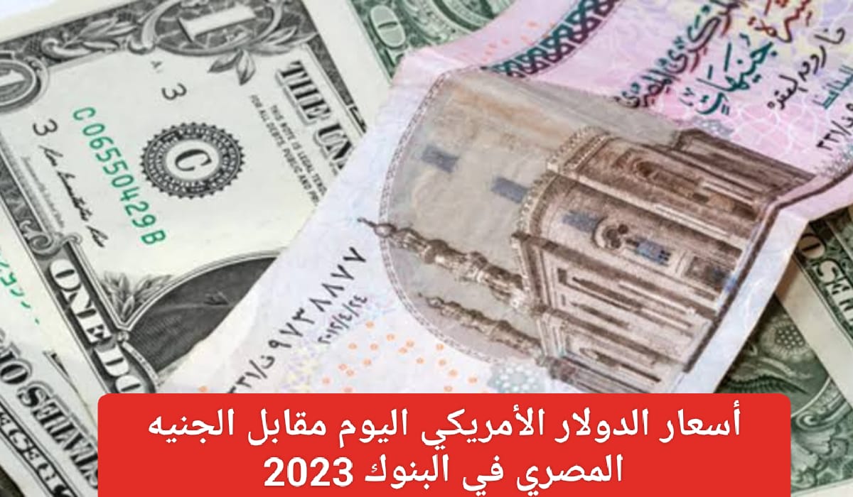 سعر الدولار مقابل الجنيه المصري